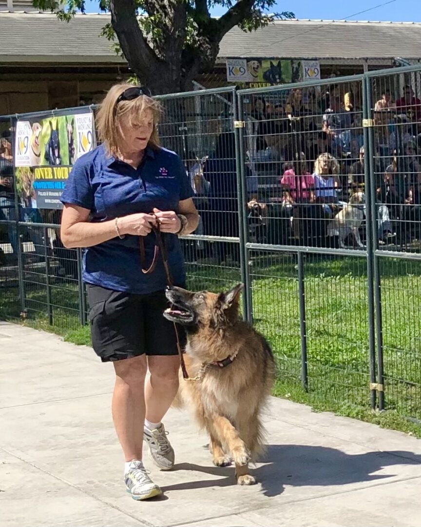 Suzanne with Hank demonstrating heeling at a county fair