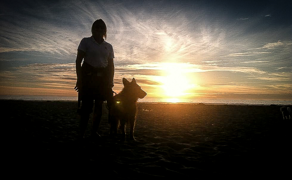 Sunset with Hank